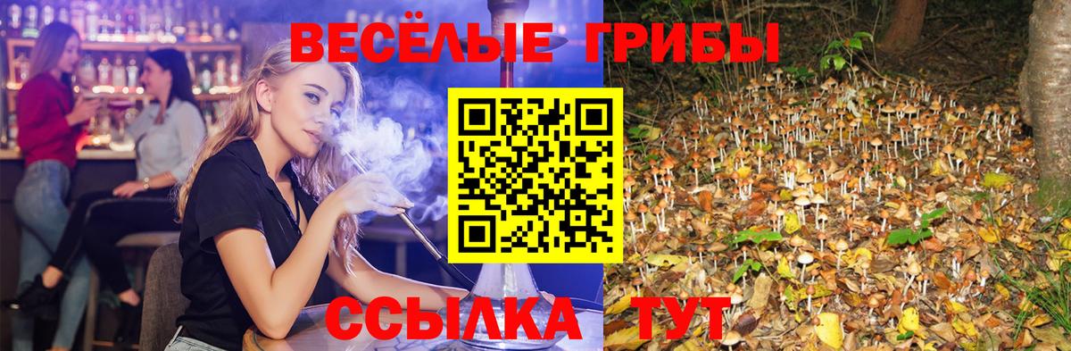 Псилоцибиновые грибы мицелий  Галлюциногенные грибы Magic Shrooms  Топки  Вход с VPN 